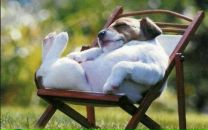 Андрій Багрій фотография #7 (источник - https://vk.com/id17209417)