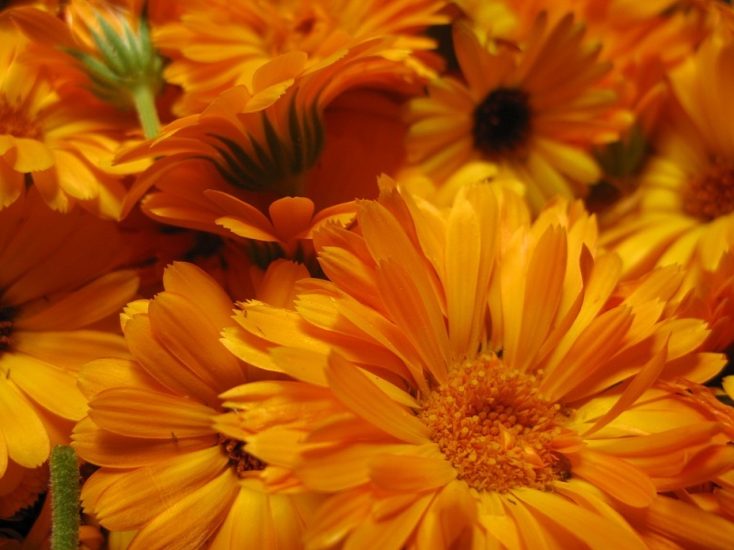 Катерина Старченко фотография #26