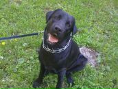 Фотография Лаптевой Натальи