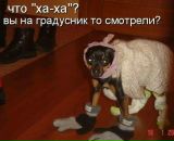 Фотография Комракова Константина