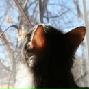 Фотография Бездежской Натальи