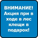 Фотография Русских Юлии