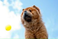 Фотография Трусовой Ирины