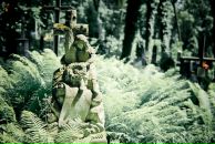 Ірина Яблонська фотография #44 (источник - https://vk.com/id7229485)