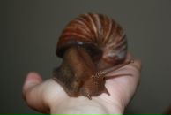 Фотография Золотарёвой Ирины