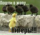 Віталік Соколюк фотография #49 (источник - https://vk.com/id81702411)