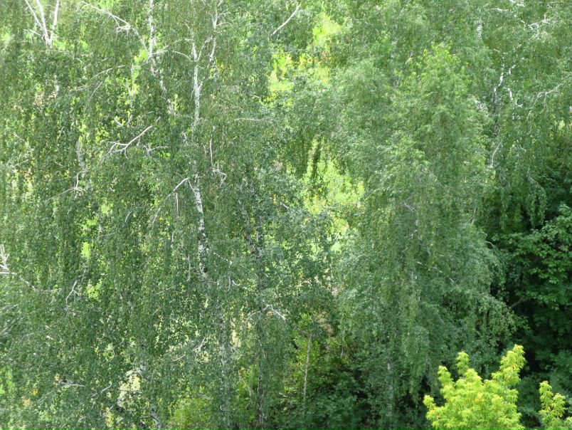 Eye You фото №38