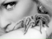 Оля Білоус фотография #5 (источник - https://vk.com/id116861744)