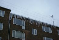 Елена Инопланетная фотография #11 (источник - https://vk.com/id335055)