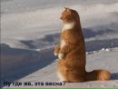 Фотография Юлия Глибина-Шукшина