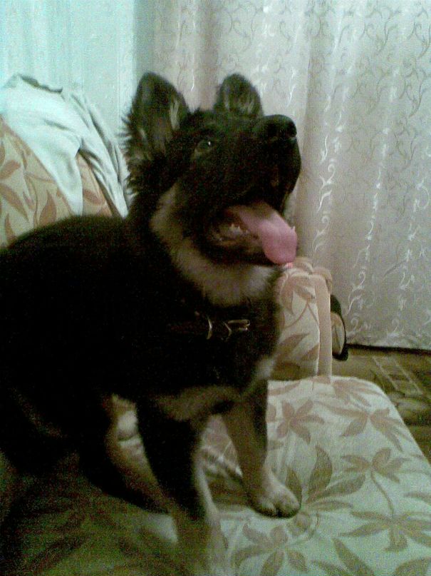 Константин Чеков фотография #44