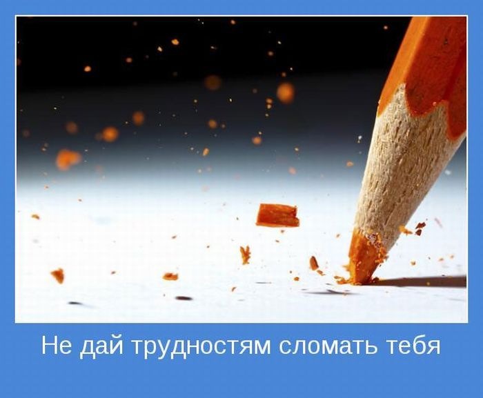 Денис Волков фотография #46