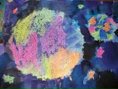 Фотография Милкиной Екатерины