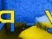 Віталік Сиряєв фотография #13 (источник - https://vk.com/id12326535)