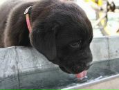 Max Max фотография #49 (источник - https://vk.com/id1641514)