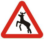 Фотография Кузнецова Александра