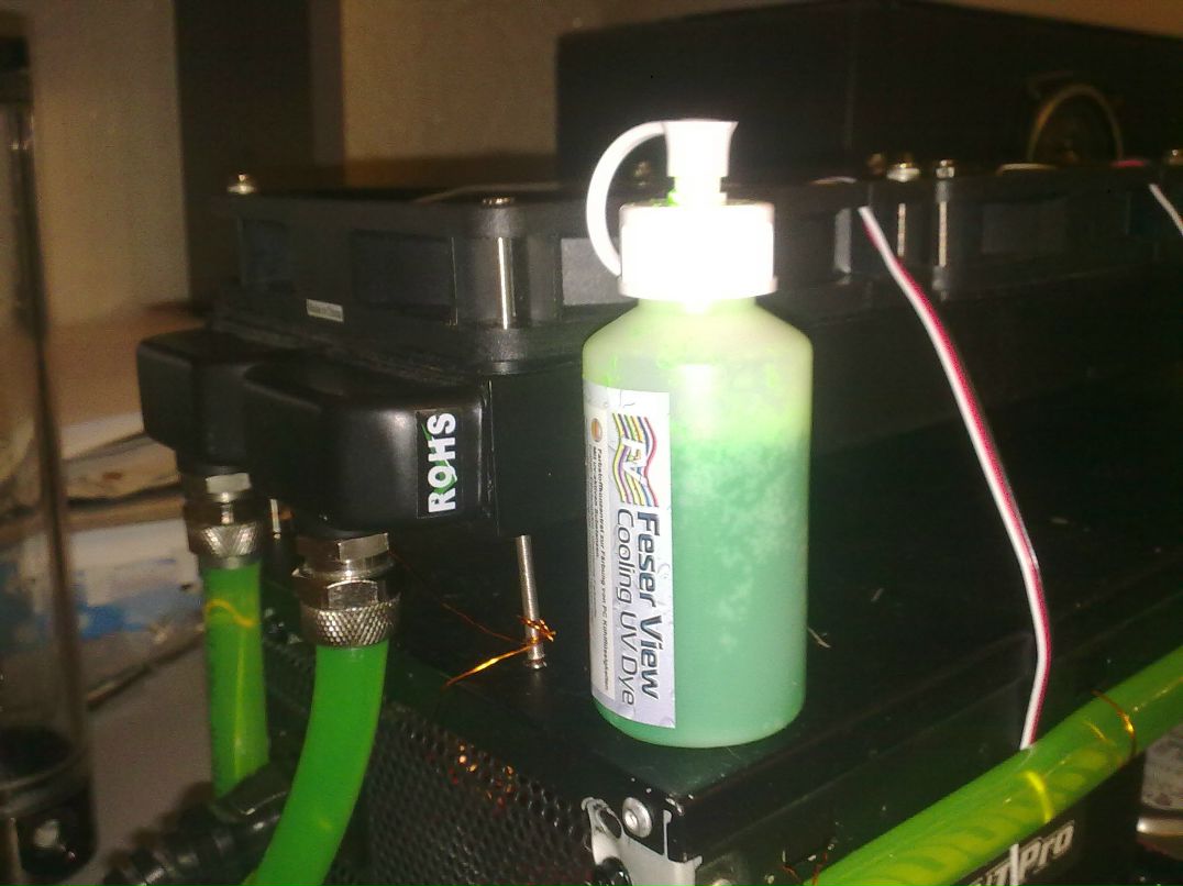 Дмитрий Игнатенко фотография #22