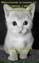 Іван Князь фотография #39 (источник - https://vk.com/id101657783)