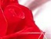 Аліночка Фаленчук фотография #19 (источник - https://vk.com/id113185448)