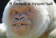 Фотография Шуршина Сергея