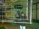 ღ)))тсс, ღ)) фотография #9 (источник - https://vk.com/id144329899)