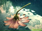 Фотография Поздняковой Анны