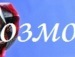 Саша Мєлкий фотография #22 (источник - https://vk.com/id118730427)