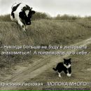 Тіна Лоянич фотография #12 (источник - https://vk.com/id82339649)