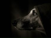 Фотография Кенского Павла