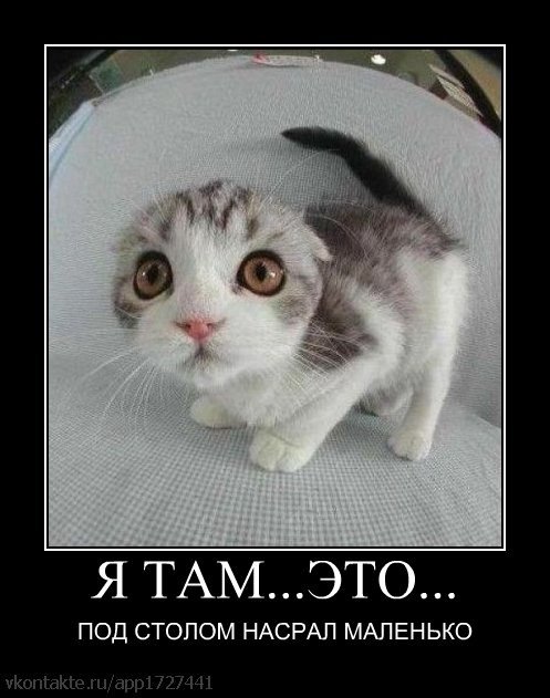 Дмитрий Григорьев фотография #40