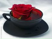 Сергій Дацюк фотография #34 (источник - https://vk.com/id17622501)