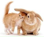 Фотография Бавыкиной Людмилы