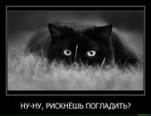 Фотография Романовой Елены