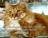 Фотография Клёминой Татьяны