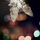 Фотография Баженовой Марины