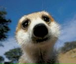 Фотография Владимировича Сергея