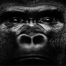 Фотография Александровича Юры