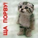 Кіра Товмаш фотография #15 (источник - https://vk.com/id45985525)