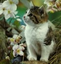 Вітуся Середа фотография #4 (источник - https://vk.com/id41705114)