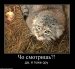  фотография #28