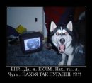 Фотография Старкова Евгения