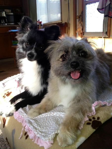 Trouble City фото №5