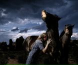 Фотография Soul Fealis