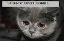 Ілонка Маланюк фотография #2 (источник - https://vk.com/id153706795)