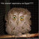 Іра Тимків фотография #50 (источник - https://vk.com/id135945872)