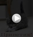 Іра Дяковська фотография #27 (источник - https://vk.com/id137411715)