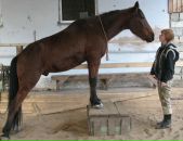 Фотография Корсаковой Катерины