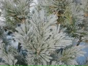 Фотография Потапов Андрей