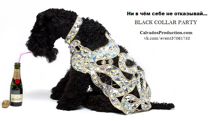 Got Life фотография #45