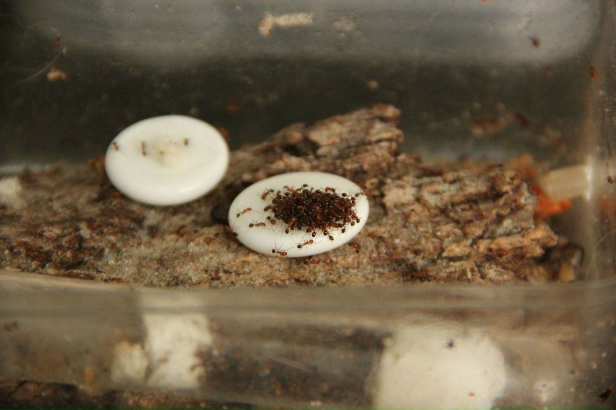 Женя Татировский фотография #10